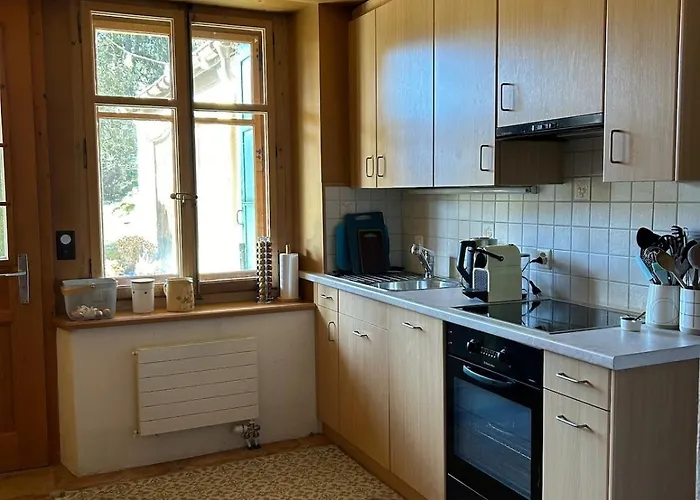 Apartmán Very Cute In D'oex Chateau-d'Oex