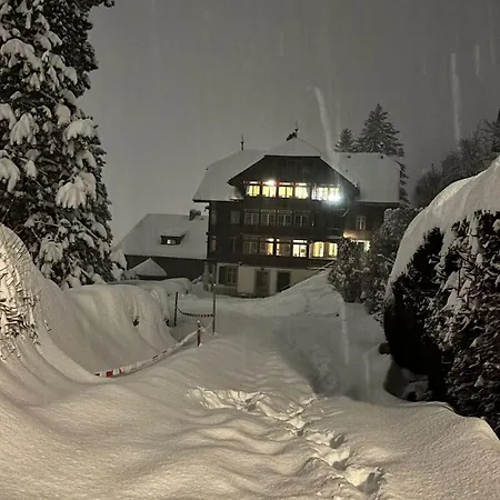 Very Cute In D'oex Appartamento *