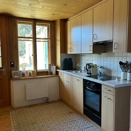 Apartment Very Cute In D'oex Chateau-d'Oex