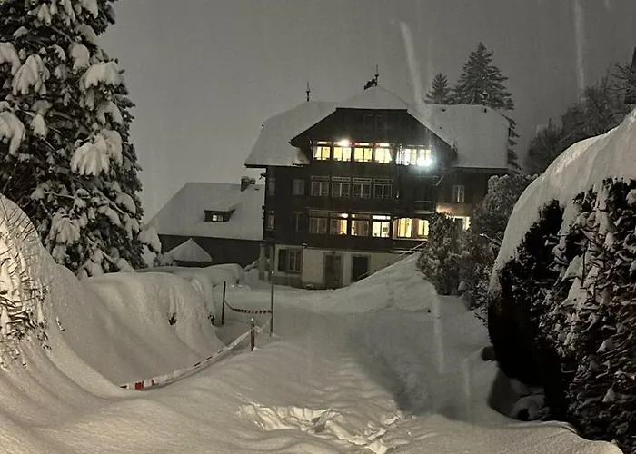 Very Cute In D'oex Apartment *